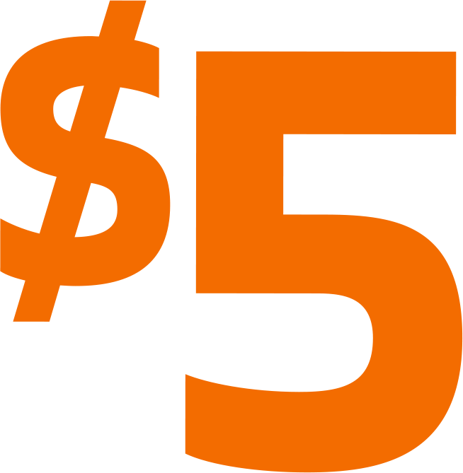 Five dollar icon