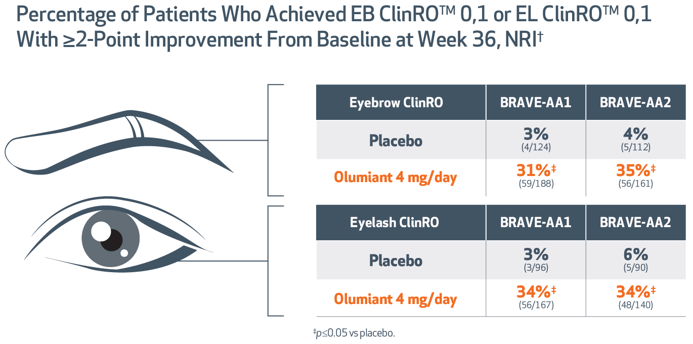 EB and EL ClinRO for eyelash and eyebrow hair regrowth at 36 weeks